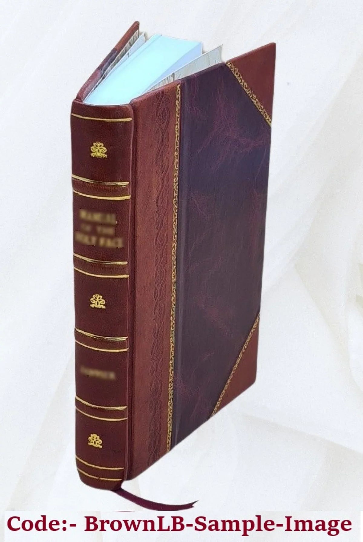 FSI - Hausa Basic Course - Student Text [Leather Bound]