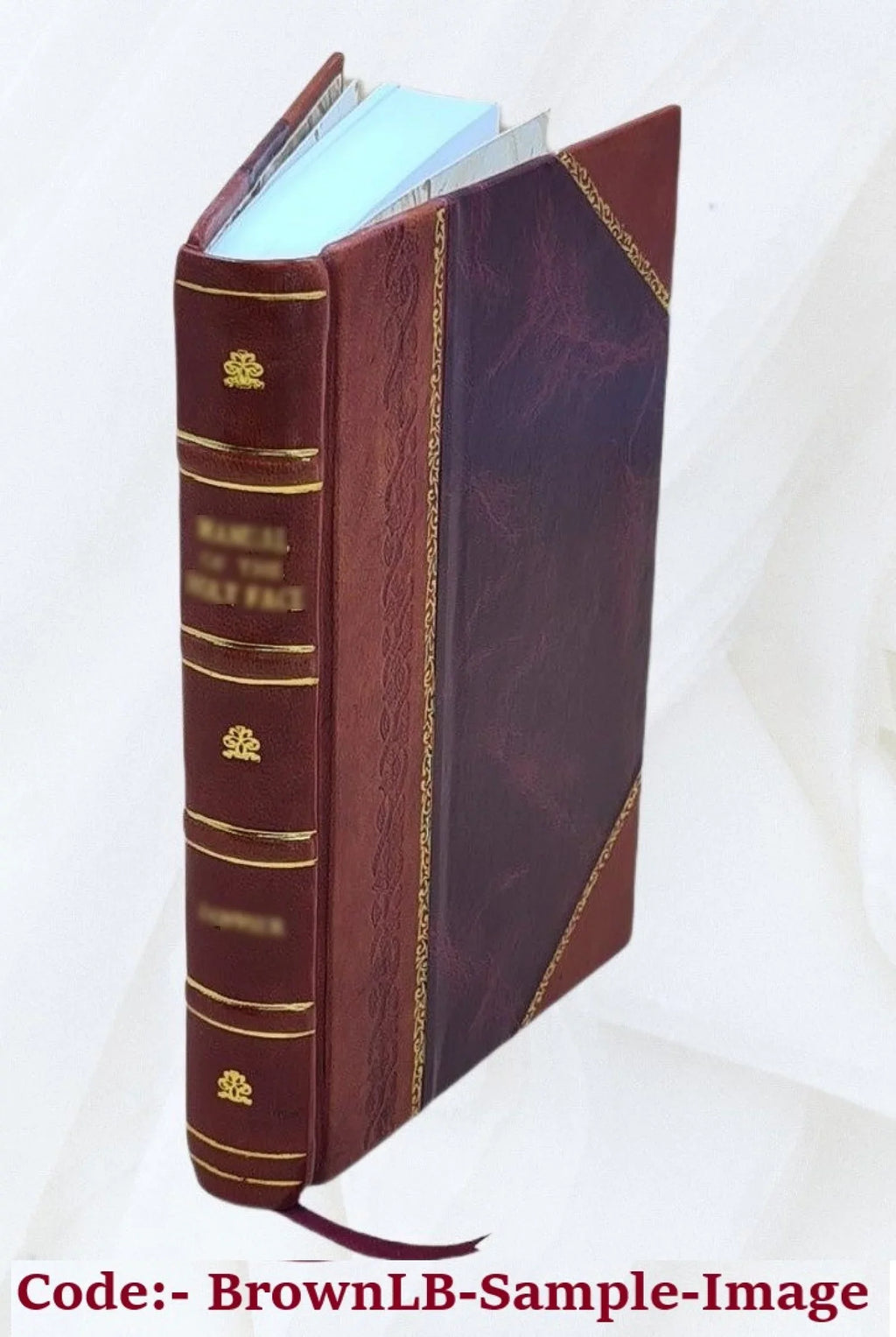 1853 [Leather Bo. A handbook of angling : teaching fly-fishing, trolling, bottom-fishing, and salmon-fishing : with the natural history of river fish, and the best modes of catching them / by Ephemera