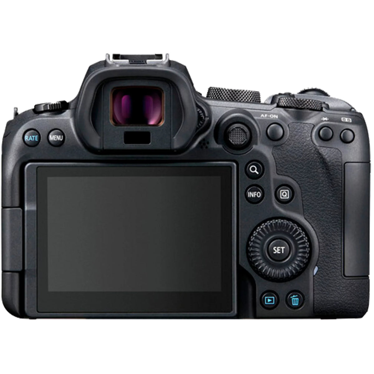 EOS R6 Mirrorless Digital Camera (Body Only) with Mount Adapter + Microphone + 2 Pack SanDisk 128GB + Case + ZeeTech Accessory