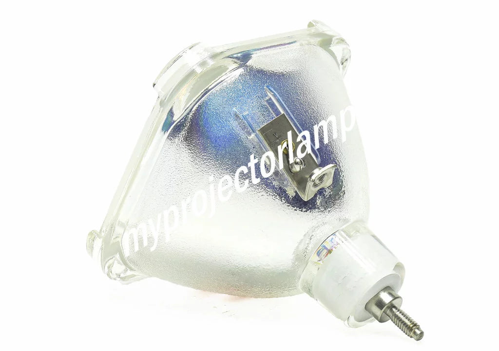 LP-XG22 Bare Projector Lamp
