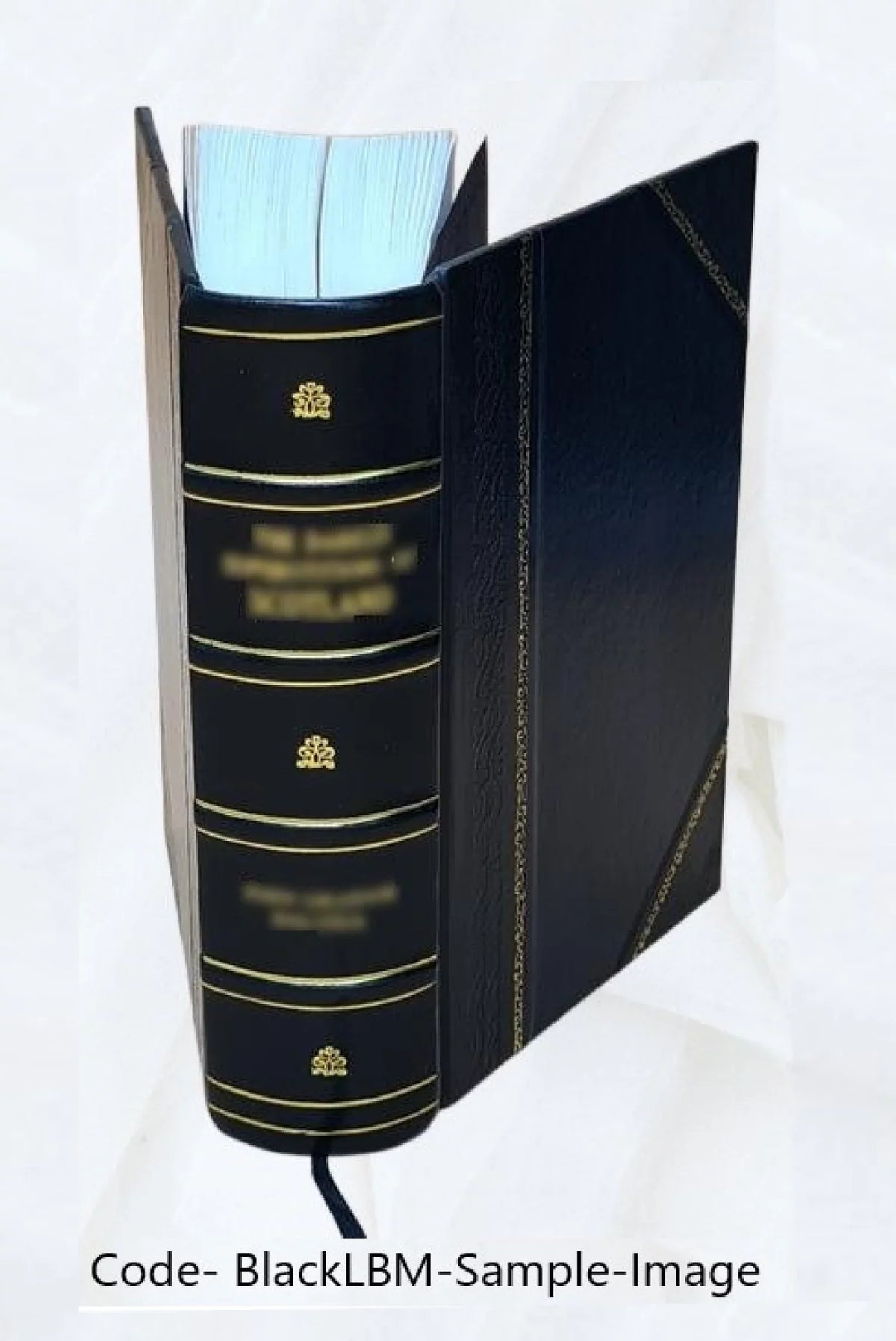 Vostočnaja Sibir': Ozero Bajkal i pribalkajskija [Leather Bound]. Zemlevěděnie Azii Karla Rittera: Geografija stran vchodjaščich v sostav Aziatskoj Rossii ili pograničnych s neju